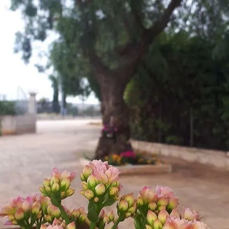 Il Giardino Di Giada Polignano a Mare